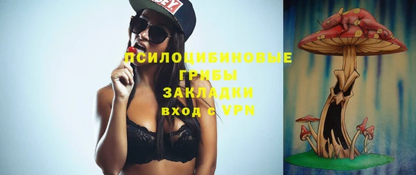 ПСИЛОЦИБИНОВЫЕ ГРИБЫ Алексин