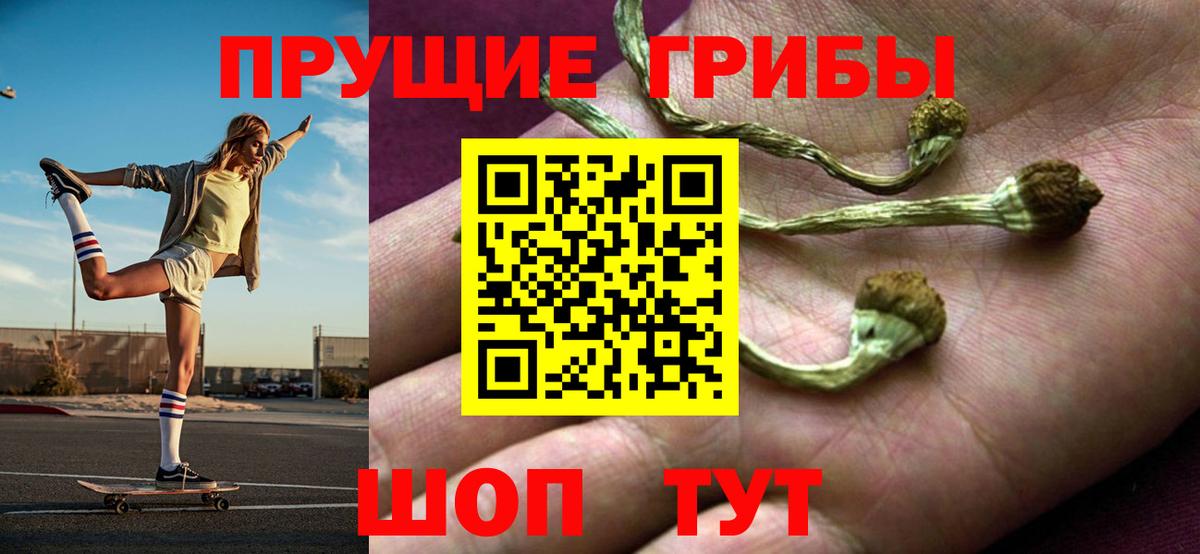 Псилоцибиновые грибы мицелий  даркнет сайт  Галлюциногенные грибы прущие грибы  Нижнеудинск  Вход с VPN 