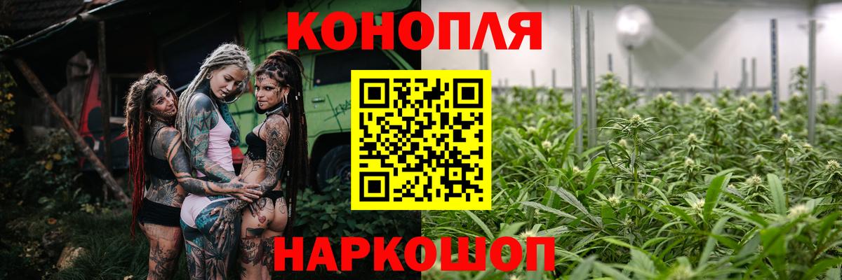 Нижнеудинск  Конопля OG Kush  Вход с VPN  Конопля сатива 